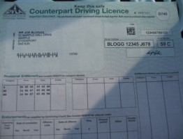 Paper Diving License