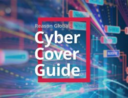 cyber cover guide