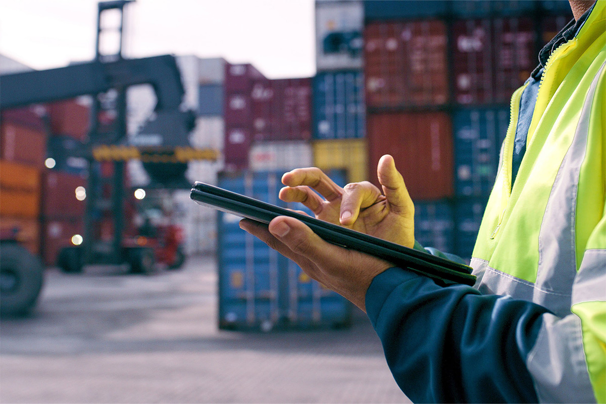insurance for international movers