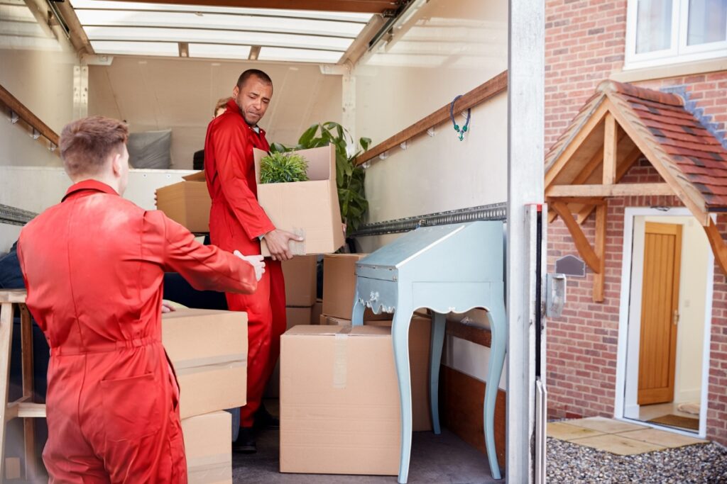 Removals Cover